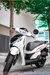 son-xe-may-sh-trang-3.jpg