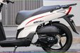 son-xe-may-sh-trang-5.jpg