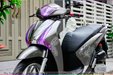 son-xe-may-sh-tu-tinh-6.jpg