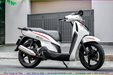 son-xe-may-sh-trang-4.jpg