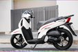 son-xe-may-sh-trang-8.jpg