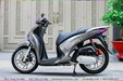son-xe-may-sh-tu-tinh.jpg