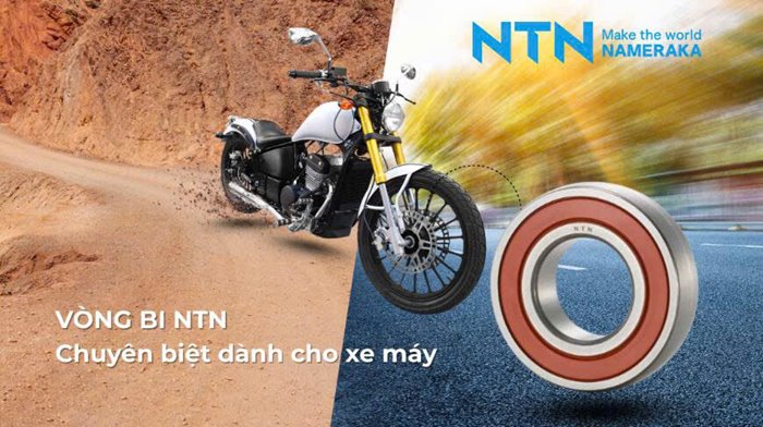 BAC-ĐAN-NTN.jpg