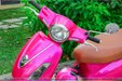son-xe-may-atila-hong-4.jpg