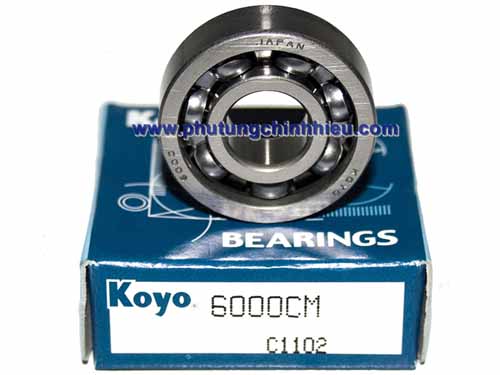 Bac-an-Koyo-6000CM-1.jpg