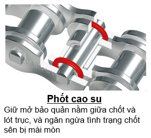 sen-phot-DID-428VIX-2.jpg sen-phot-DID-428VIX-2.jpg