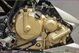 son-xe-may-raider-bac-xanh-la-3.jpg