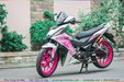 son-mam-winner-hong-canh-sen-3.jpg