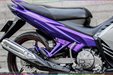 son-xe-may-exciter-tim-bac-7.jpg