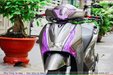 son-xe-may-sh-tu-tinh-7.jpg