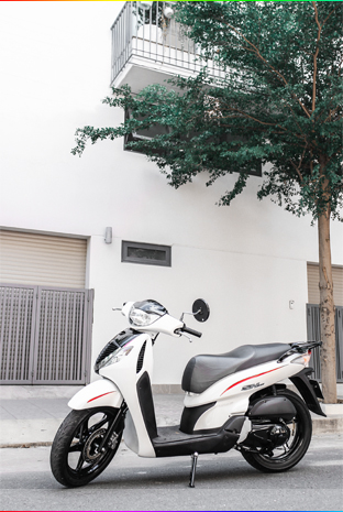 son-xe-may-sh-trang-2.jpg