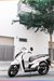 son-xe-may-sh-trang-2.jpg