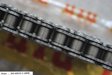 Sen-nhong-dia-DID-Exciter-155-2022-sen-phot-T-Ring-428VIX-126FB-14T-46T-6.JPG