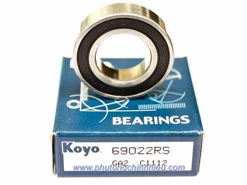 Bac-an-Koyo-69022RSCM-1.jpg